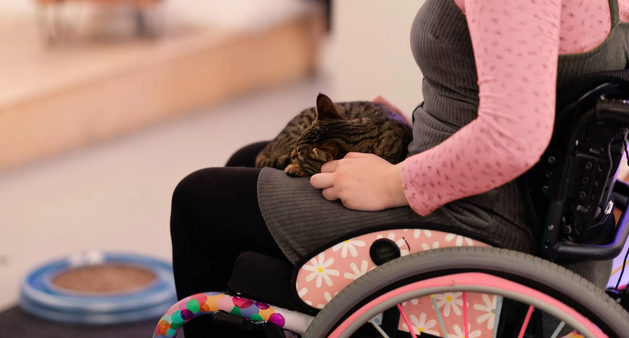 Happy Cats are Our Number One Purriority