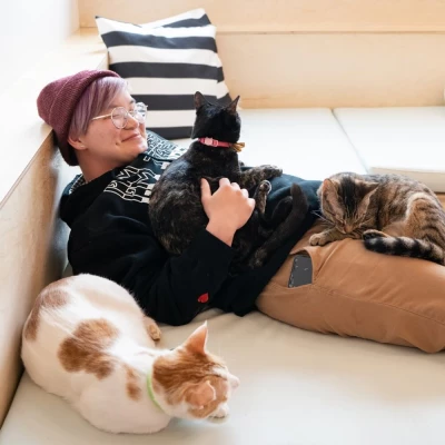 Purrivate Cat Room Visit (Bellingham): Book Meow