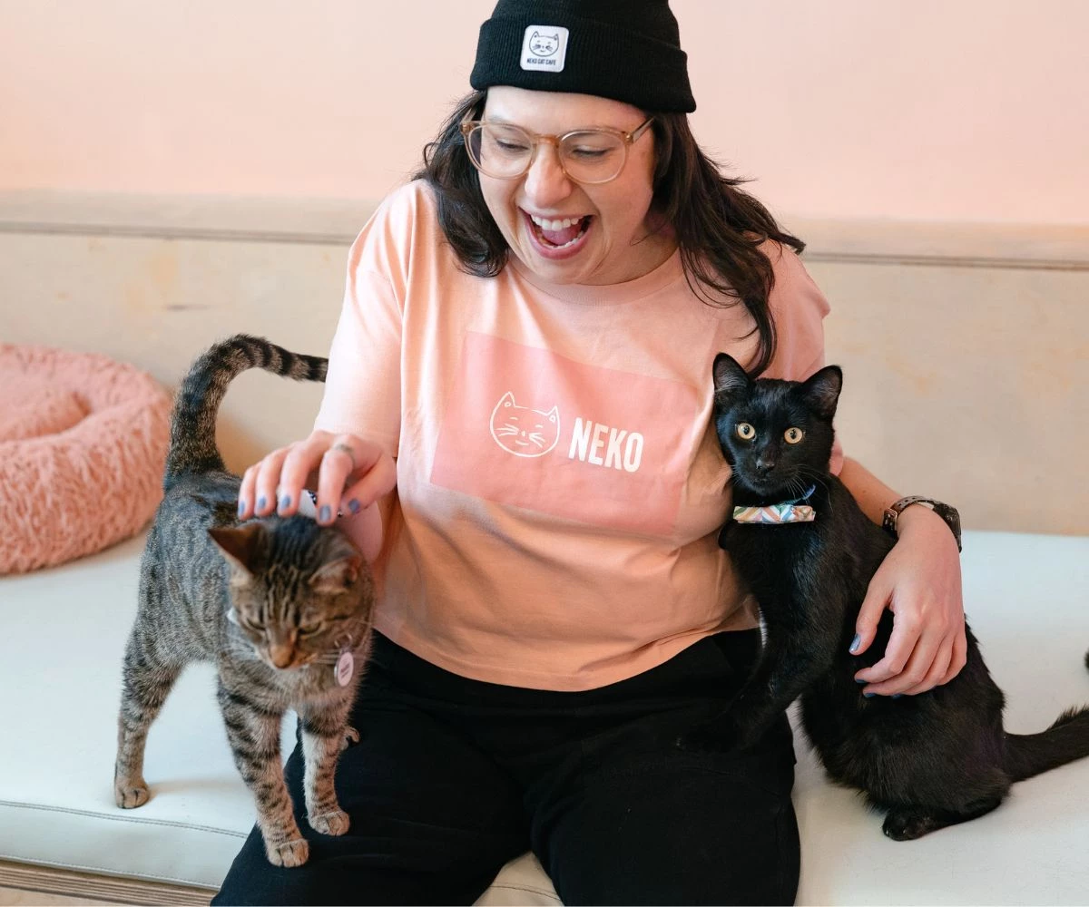 BELLINGHAM CAT ROOM VISIT GIFT CARDS