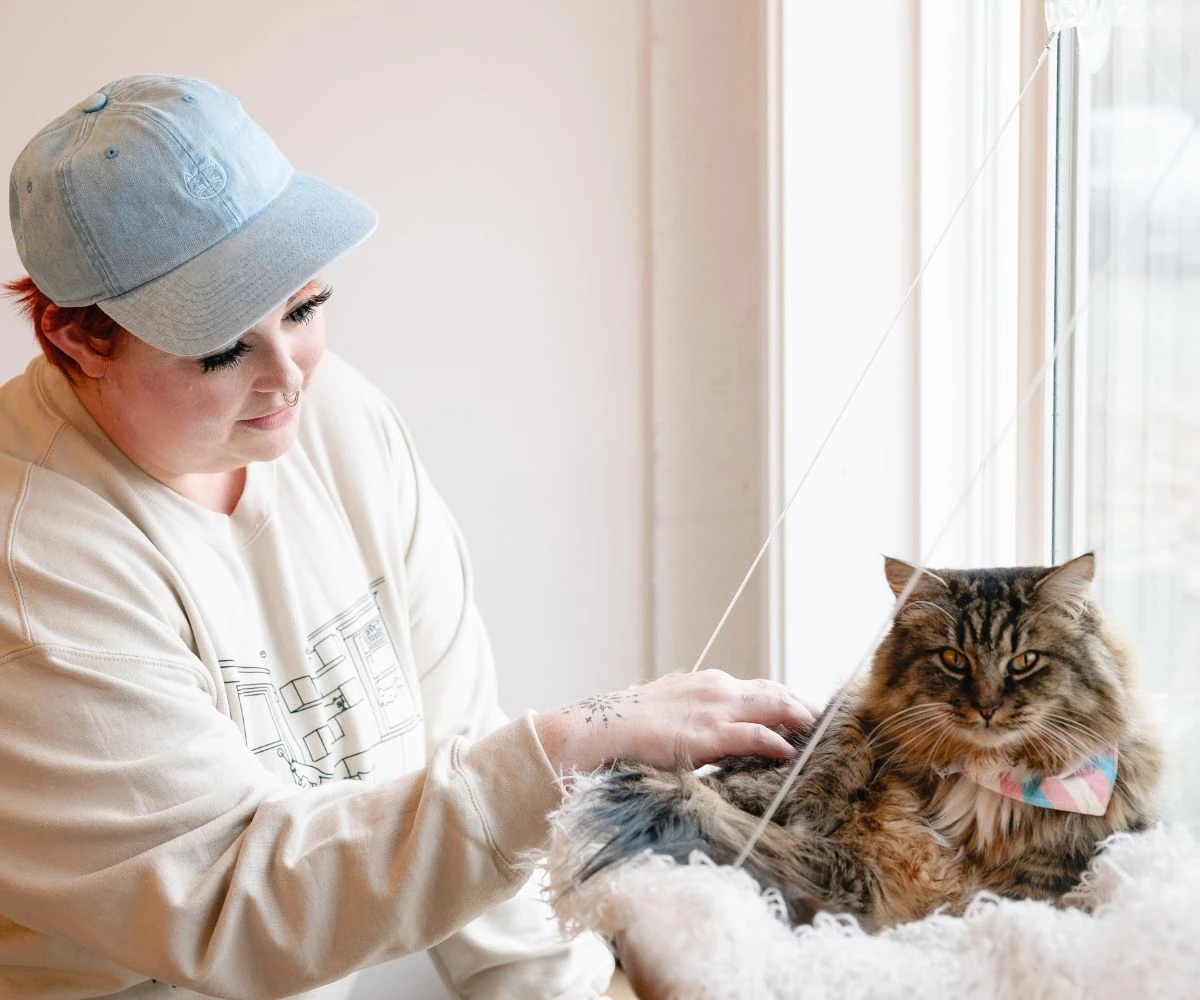 BELLINGHAM IN-STORE & ONLINE SHOP GIFT CARDS