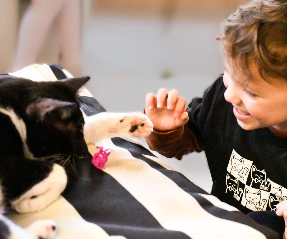 SEATTLE IN-STORE GIFT CARDS