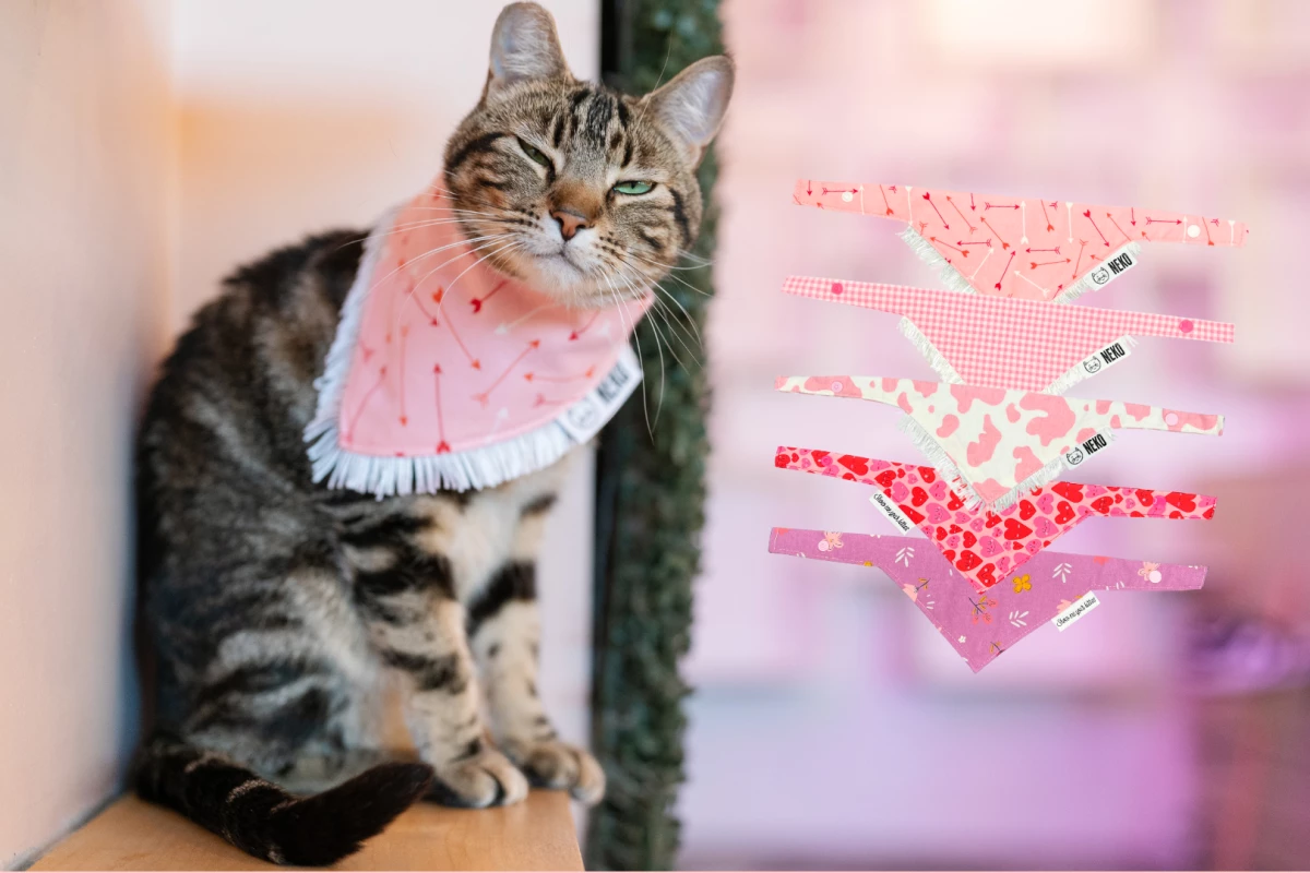 BRAND MEW FOR YOUR MEOWENTINE