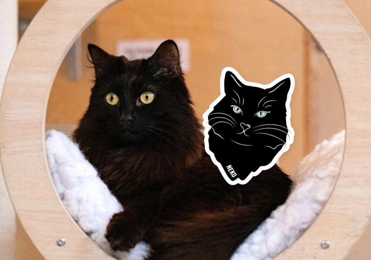 Blood Donation for People