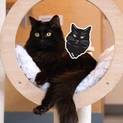 Elvira's Blood Drive (SEATTLE & BELLINGHAM): Learn How to Donate