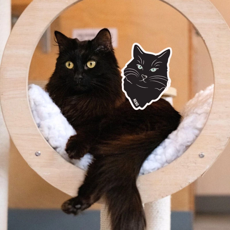 Elvira's Blood Drive (SEATTLE & BELLINGHAM): Learn How to Donate