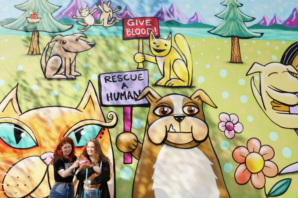 Zest's Bloodworks Adventure