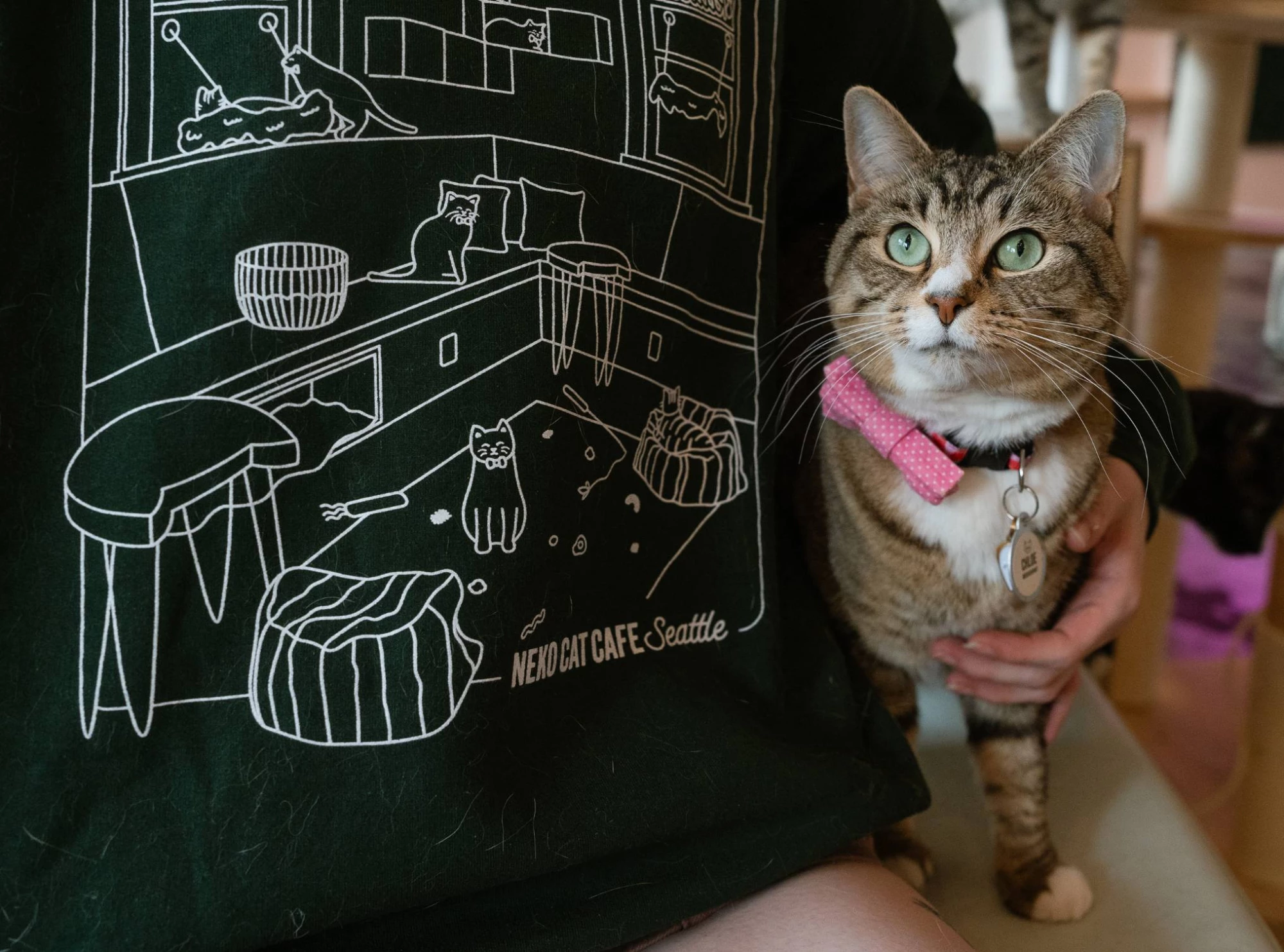NEKO Cat Cafe