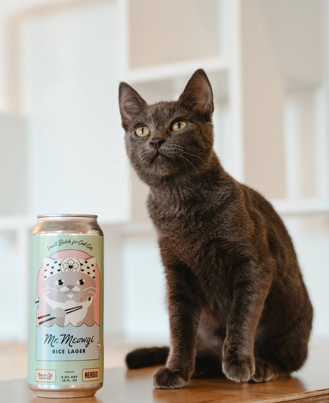 【チョコメルさま】vintage cat ୨୧ ベイビーフェイス 猫ちゃん Aww! Ice Cream Mishap: Tiger-Hat Kitten's Tummy Ache Adventure