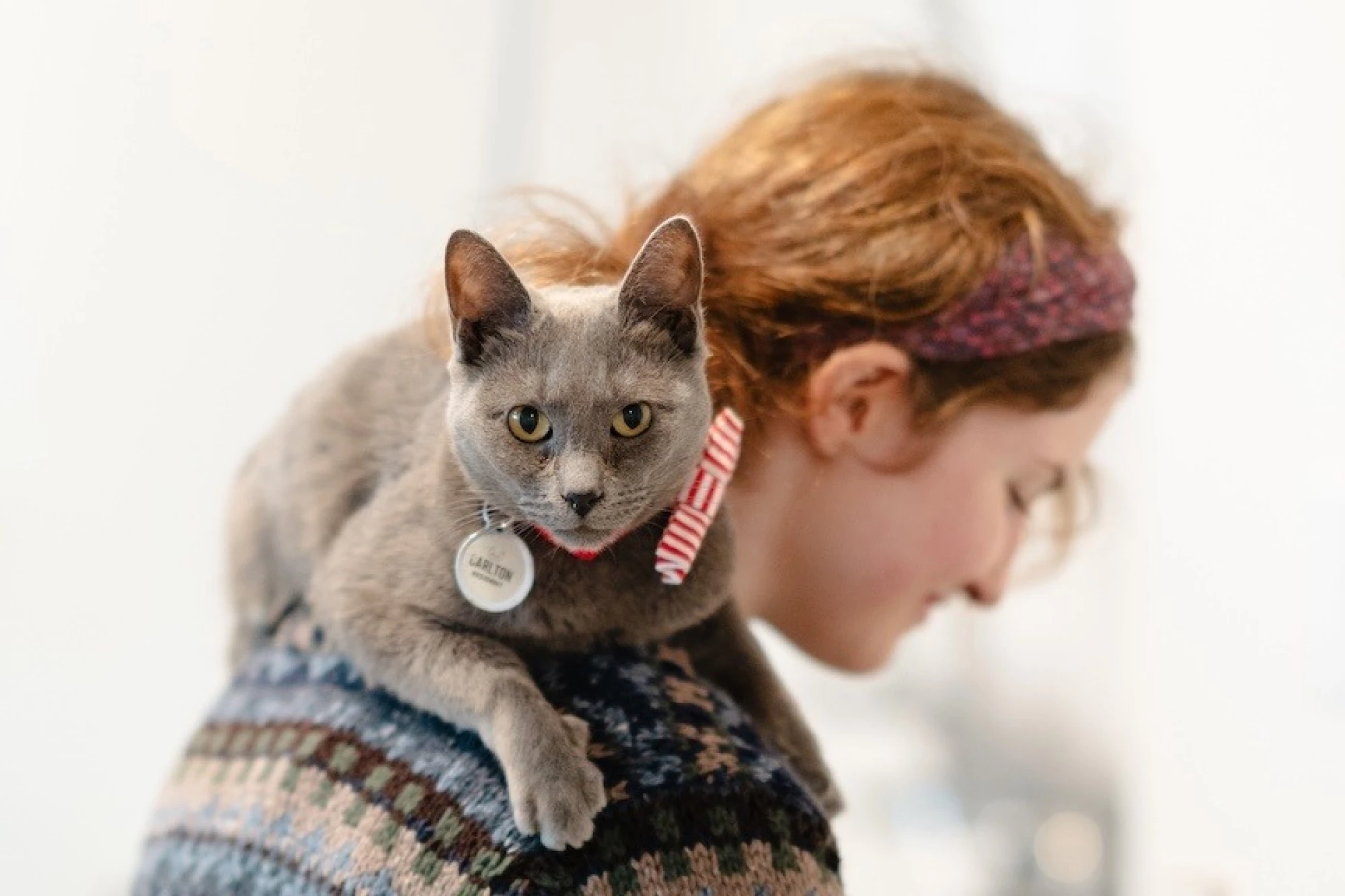 Our Most Eligible Catchelors