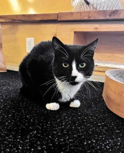 Lieutenant Larold Long Legs