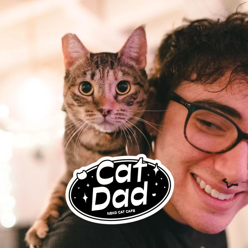 Cat Dad Day (SEATTLE & BELLINGHAM): Book Meow