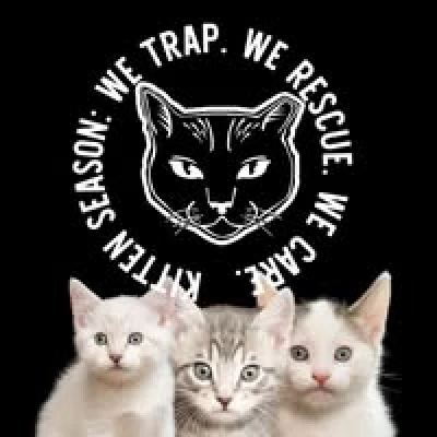Fostering is a supurr rewarding way to help! We call on fosters to host kitties who may have special needs or may need some help getting socialized. Our rescue partner, Alley Cat Project, is a totally foster-based organization that’s always looking for folks to lend a paw and foster too!Foster for NEKO
