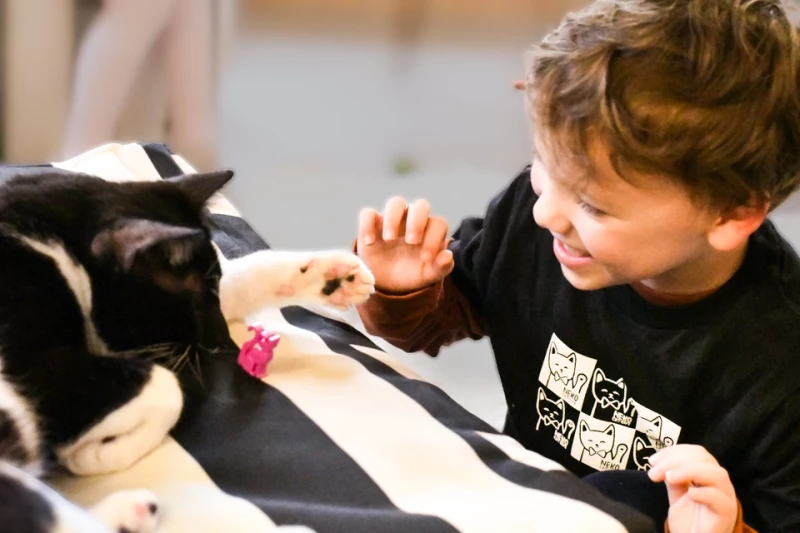 Family Day Thursdays (Seattle): Book Meow