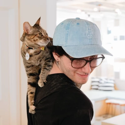 WWU First Night Out (NEKO Bellingham): Book Meow