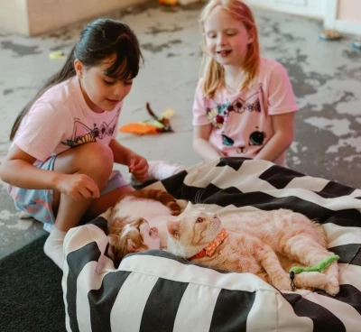 Family Day Thursdays (Seattle & Bellingham): Book Meow